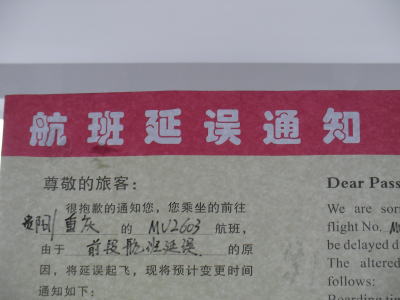 飛行機